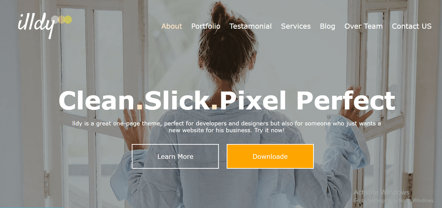 Illdy Clone Website