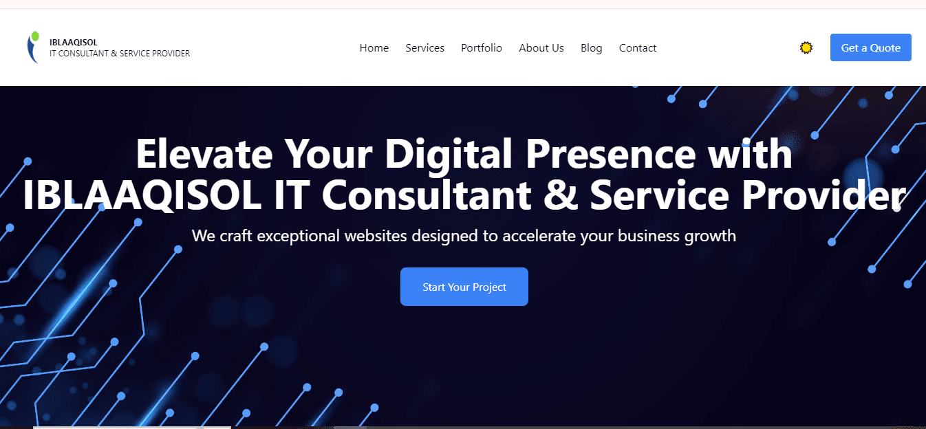 IT Consultant Service Provider